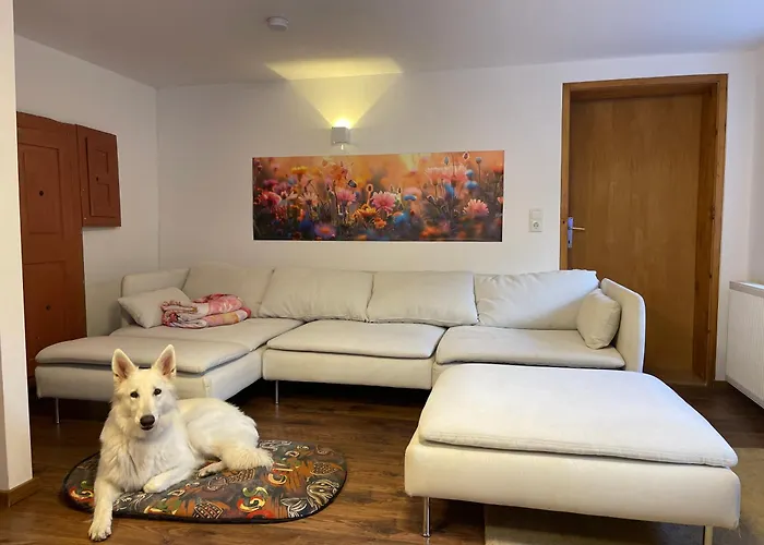 Familienfreundliches Haus Mit Eingezaeuntem Garten